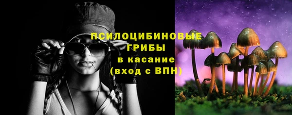 твердый Медногорск