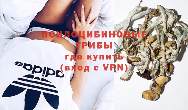 a pvp Медвежьегорск