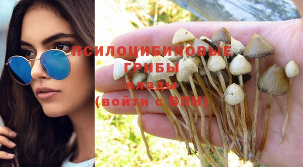 a pvp Медвежьегорск