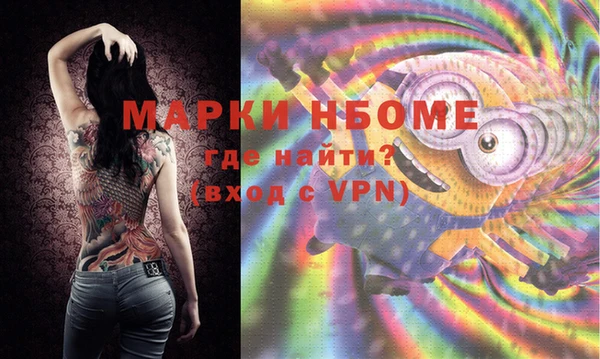 индика Краснотурьинск
