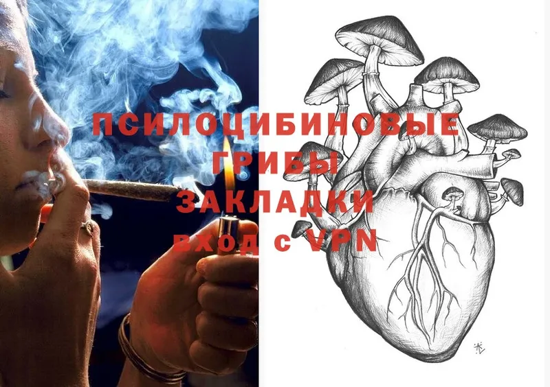 Галлюциногенные грибы Magic Shrooms  купить наркотики цена  Красный Кут 