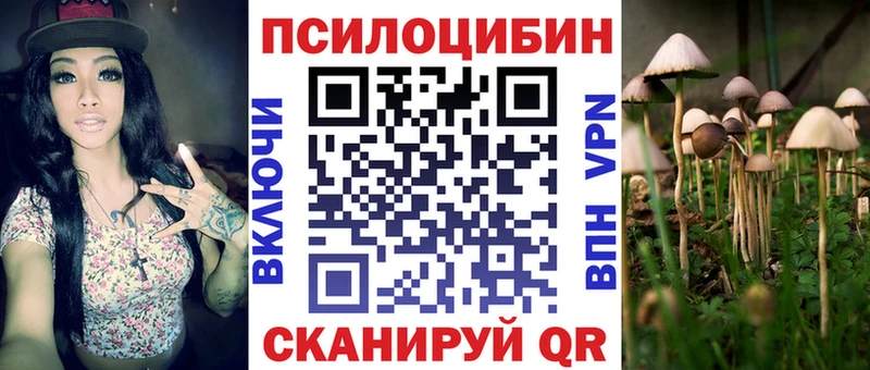 Галлюциногенные грибы MAGIC MUSHROOMS  Красный Кут 